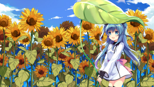 1111453 (a): :1920x1080